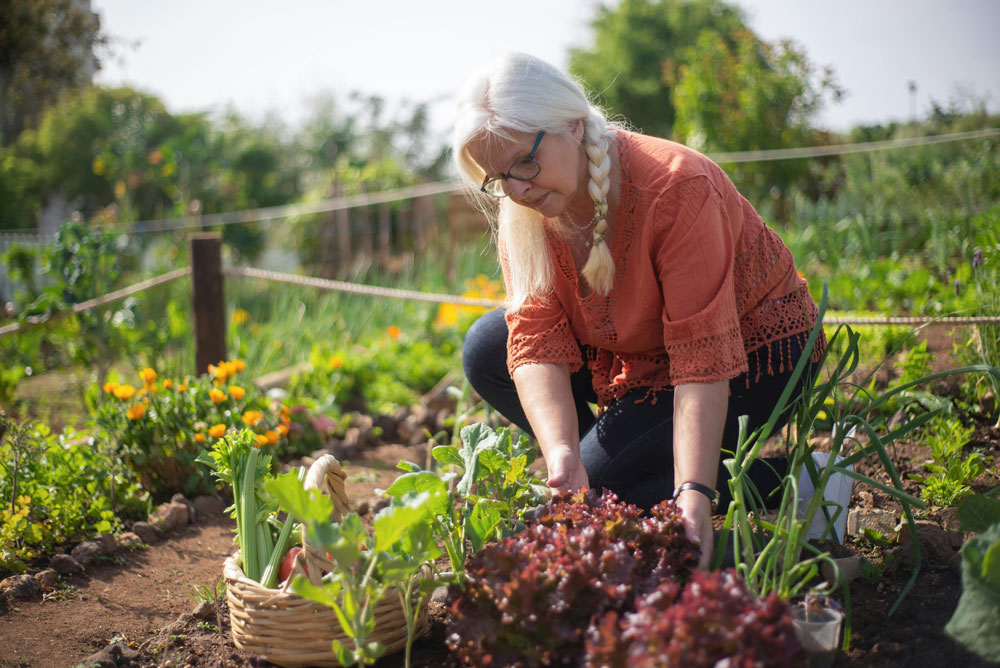 Mental Wellbeing with Gardening