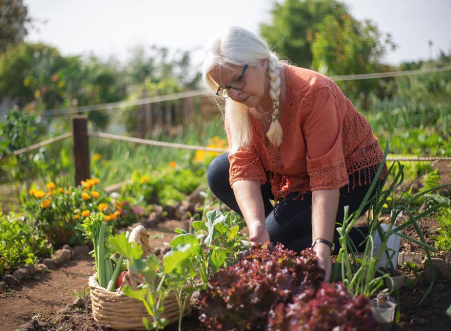 Mental Wellbeing with Gardening