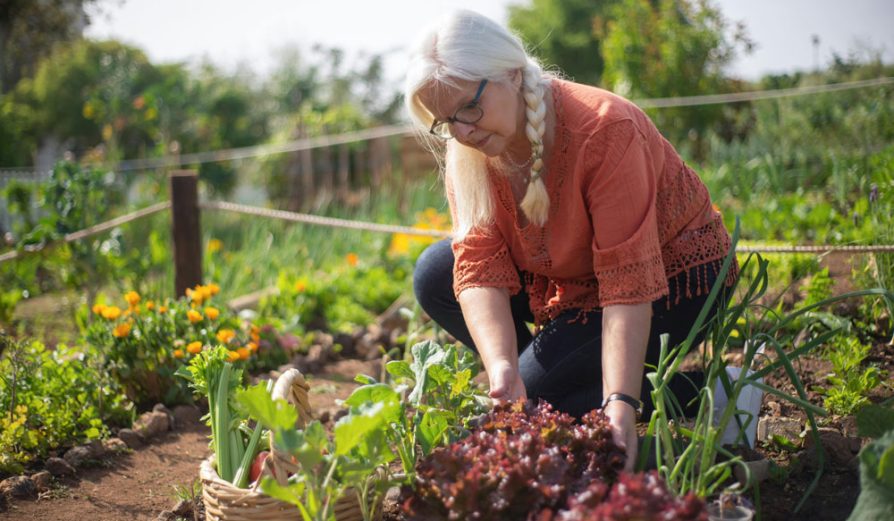 Mental Wellbeing with Gardening